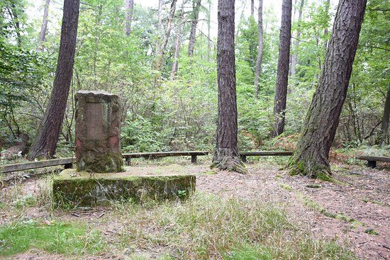 Rezerwat Chełmowa Góra